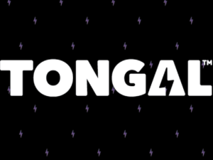 Endeavor Buys Stake in Tongal as Part of $13 Million Investment Round